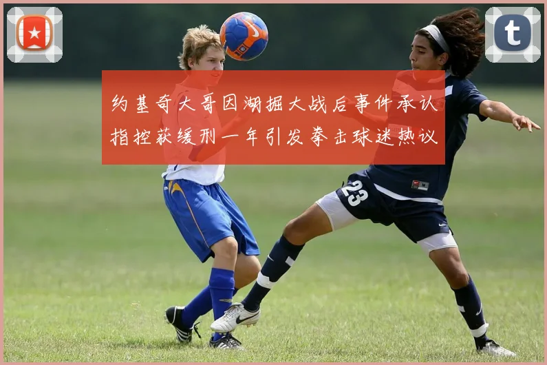约基奇大哥因湖掘大战后事件承认指控获缓刑一年引发拳击球迷热议