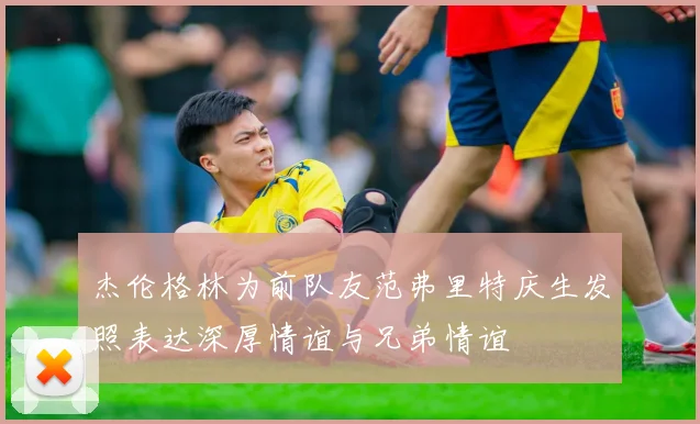 杰伦格林为前队友范弗里特庆生发照表达深厚情谊与兄弟情谊